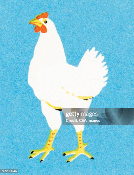 rooster - chicken stock illustrations