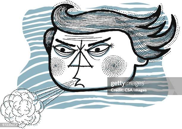 wind - storm stock illustrations