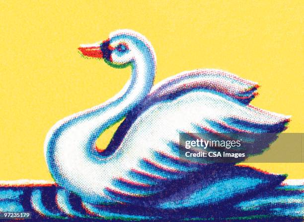 swan - swan stock illustrations