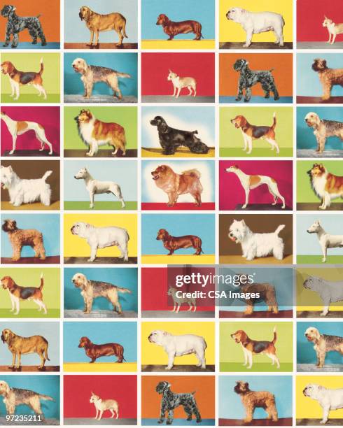 Dog Pattern High-Res Vector Graphic - Getty Images