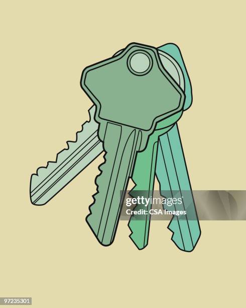 keys - schlüssel stock-grafiken, -clipart, -cartoons und -symbole