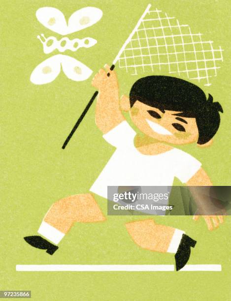 boy with butterfly net - butterfly net stock illustrations