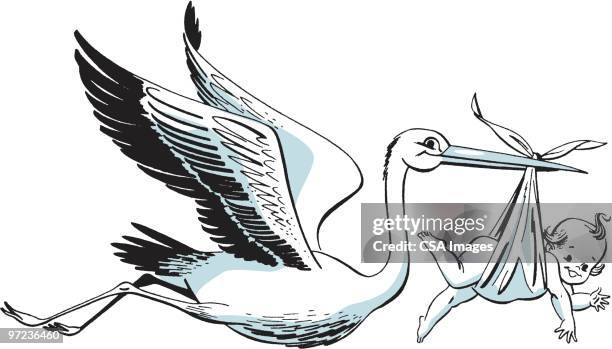 stork with baby - geburtsfest stock-grafiken, -clipart, -cartoons und -symbole