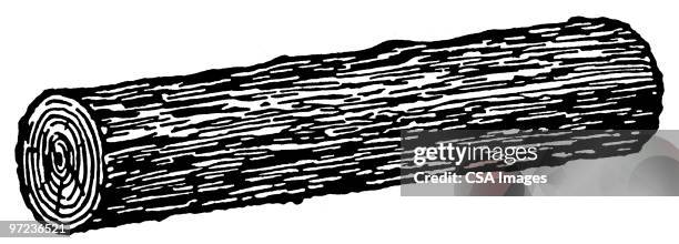 log - tree trunk stock illustrations