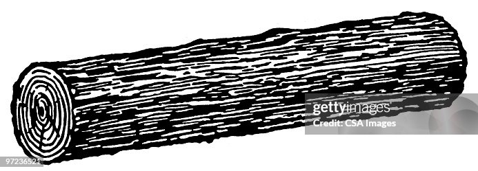 Log Log