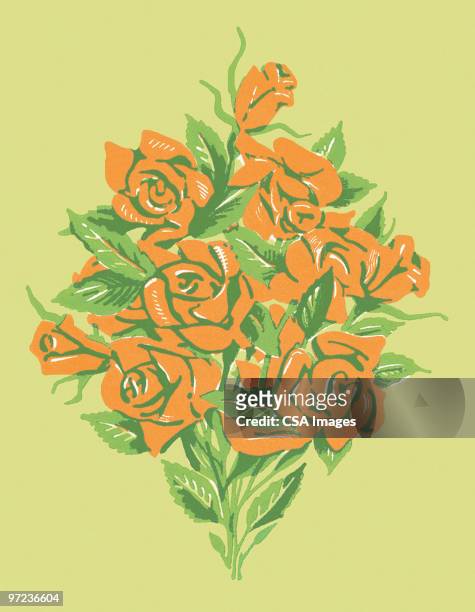 roses - bunch of flowers stock illustrations