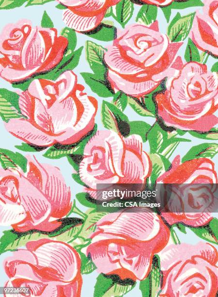 roses - smelling stock illustrations