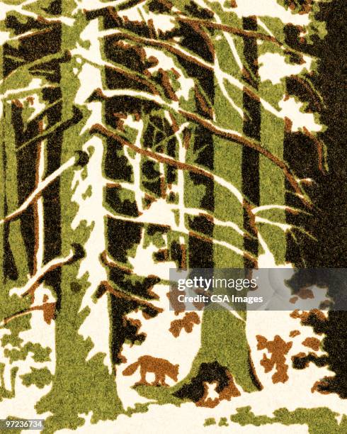 trees in the winter - pine forest stock illustrations
