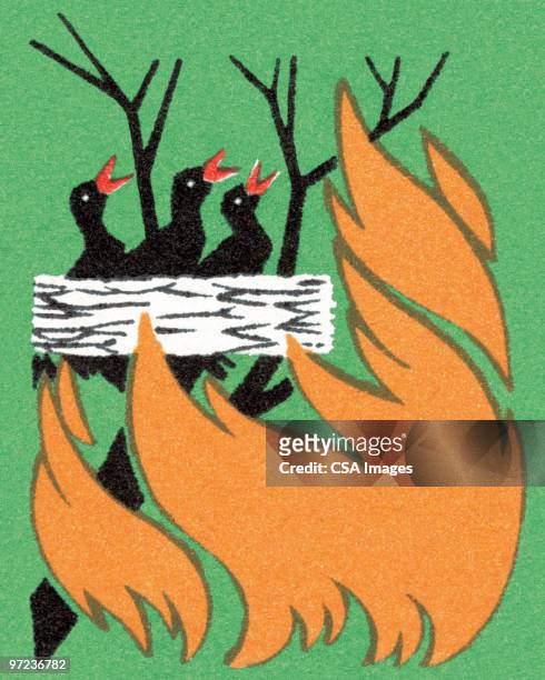 stockillustraties, clipart, cartoons en iconen met forest fire - bosbrand