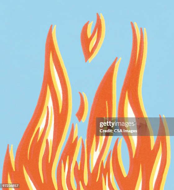 stockillustraties, clipart, cartoons en iconen met fire - kampvuur