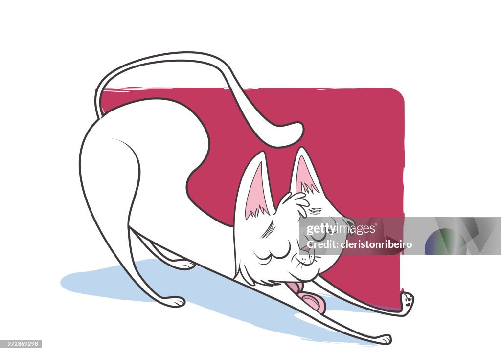 The white cat