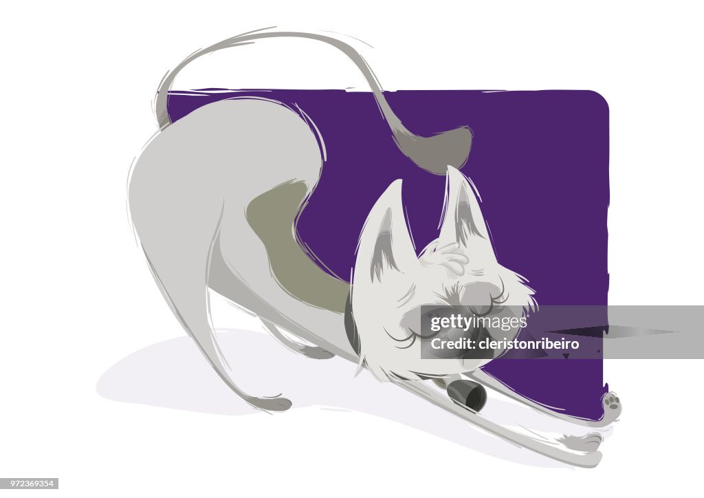 Die faule Katze