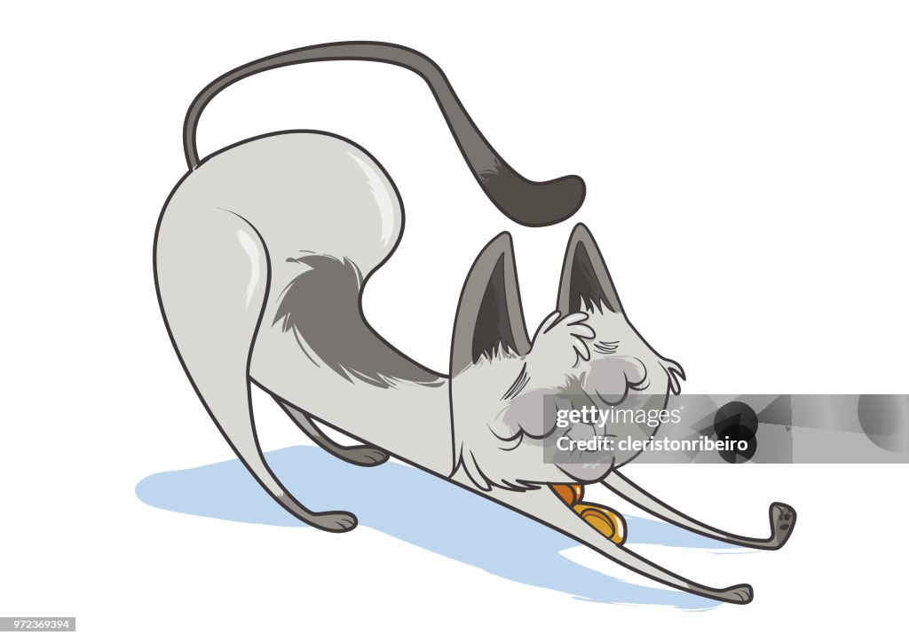 Die faule Katze