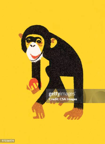 monkey - chimpanzee stock illustrations