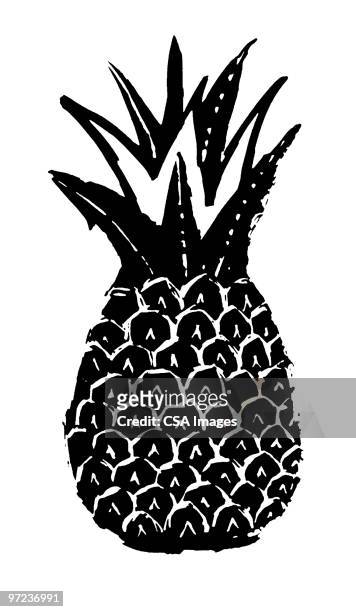ilustraciones, imágenes clip art, dibujos animados e iconos de stock de pineapple - piña