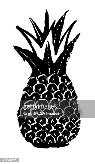 Pineapple Pineapple