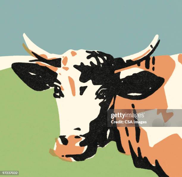 ilustrações de stock, clip art, desenhos animados e ícones de bull - mola de prender dinheiro