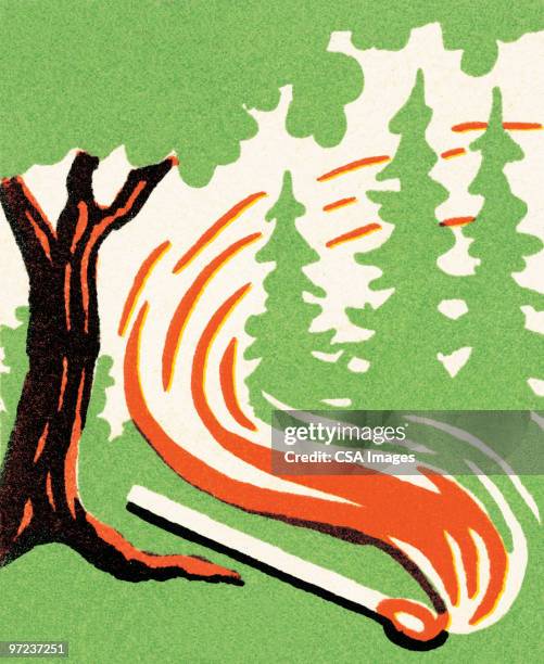 forest fire - fire stock illustrations