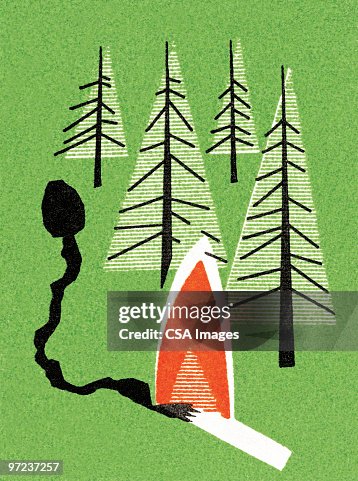 Forest fire Forest fire