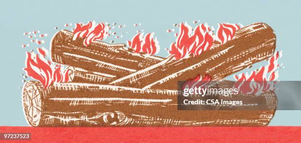 stockillustraties, clipart, cartoons en iconen met log fire - fireplace