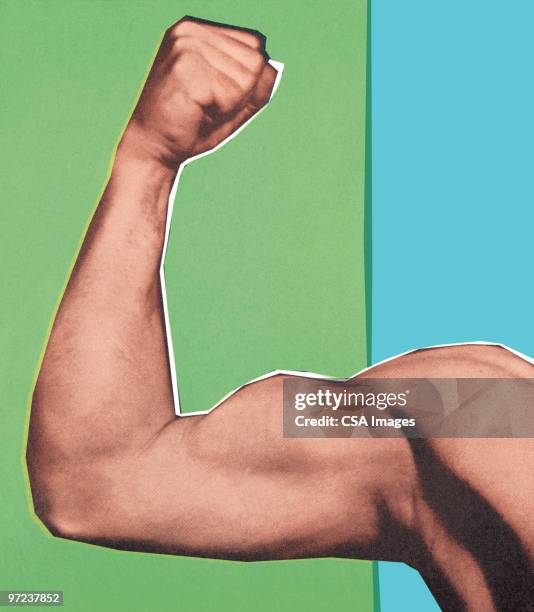 flexed bicep - muscle arm stock illustrations