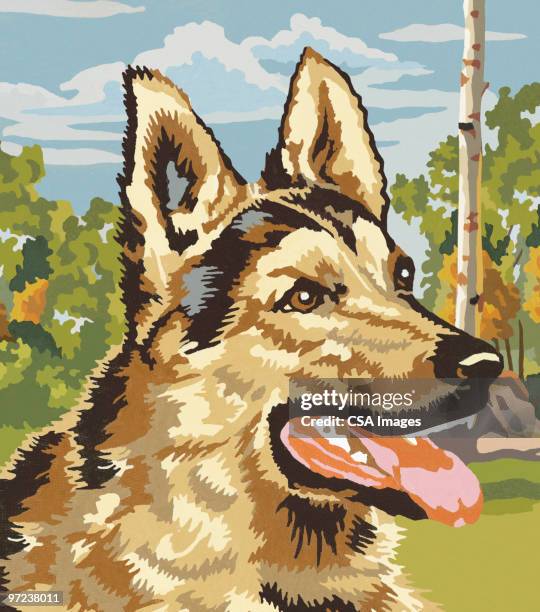 german shepherd dog - german shepherd stock illustrations