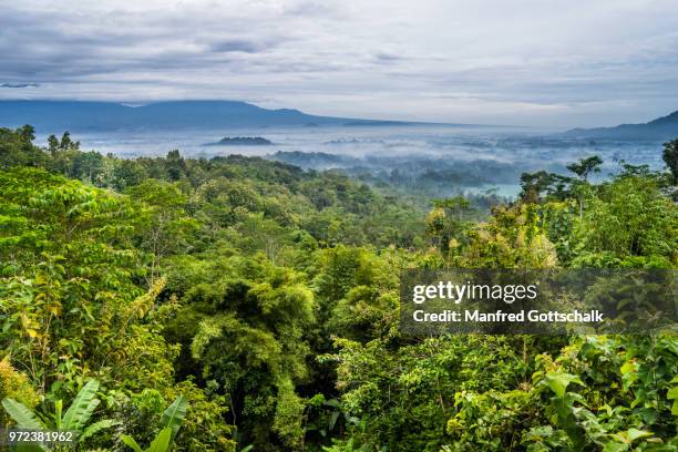 early morning mist over the kedu plain in central java with the distant stupas of ancient borubudur buddhist temple rising above the plain, java, indonesia - java stockfoto's en -beelden