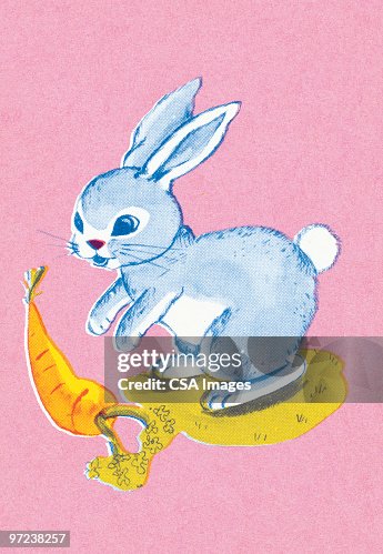 Bunny rabbit Bunny rabbit