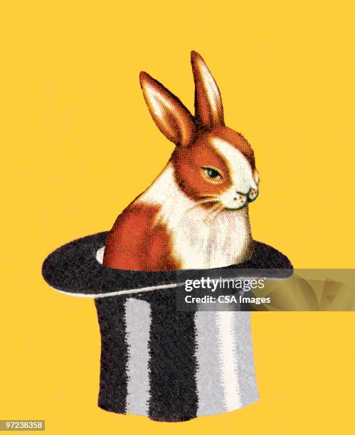 rabbit in a magician's hat - paranormal stock illustrations