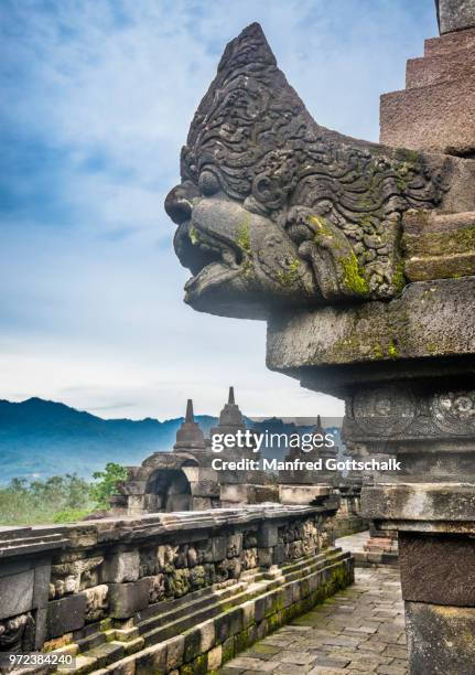 makara gargoyle at the 4th gallery of 9th century borobudur buddhist temple, central java, indonesia - java stock-fotos und bilder