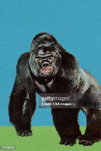 gorilla - angry monkey stock illustrations