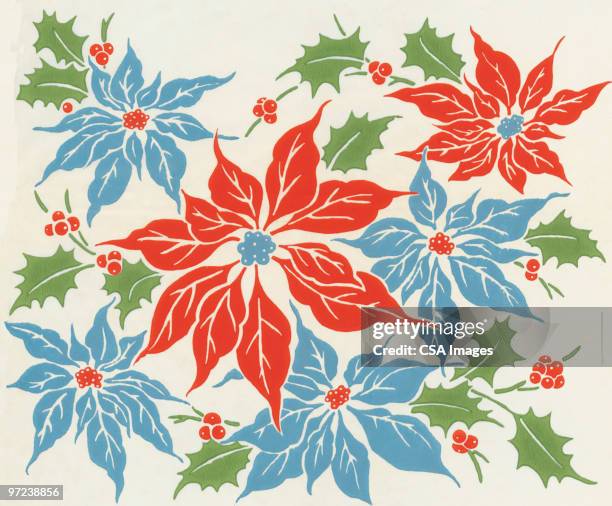 poinsettias - christmas stars stock illustrations