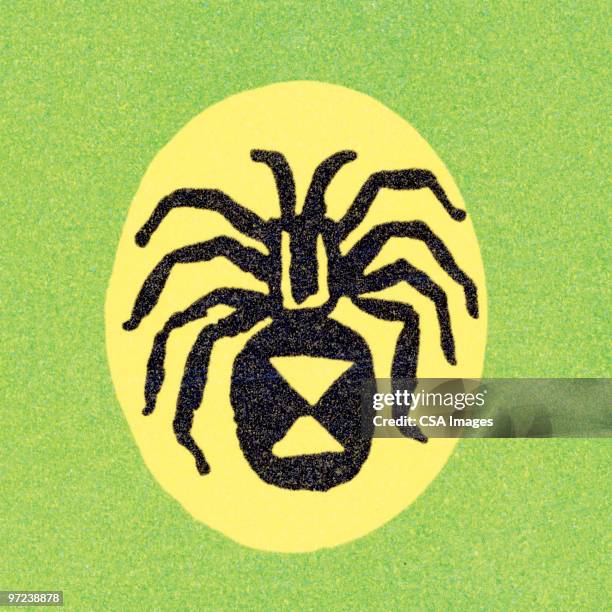 spiders - spider stock illustrations