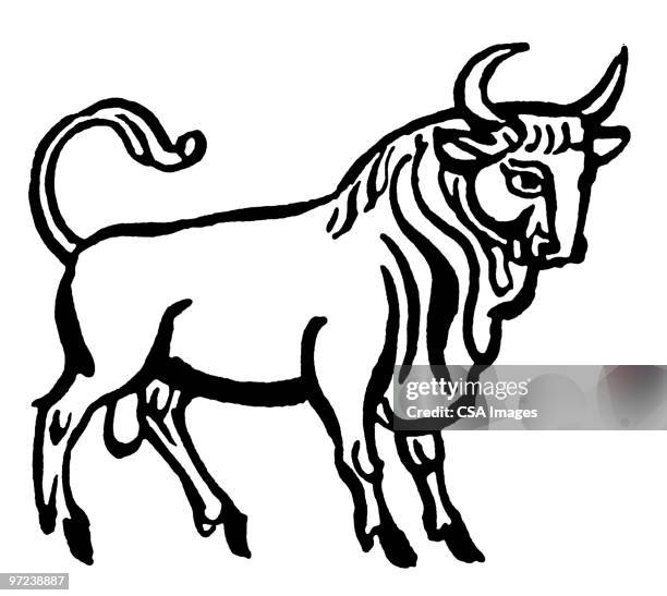 taurus - taurus stock illustrations