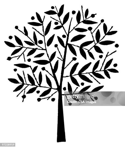 tree - tree trunk stock illustrations