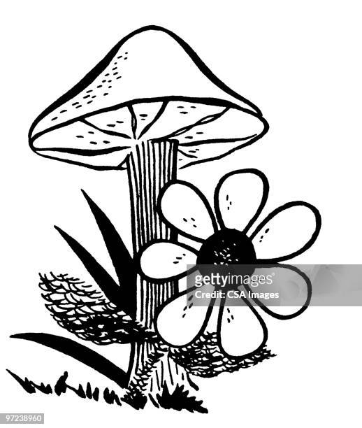 mushroom with flower - toadstool stock illustrations