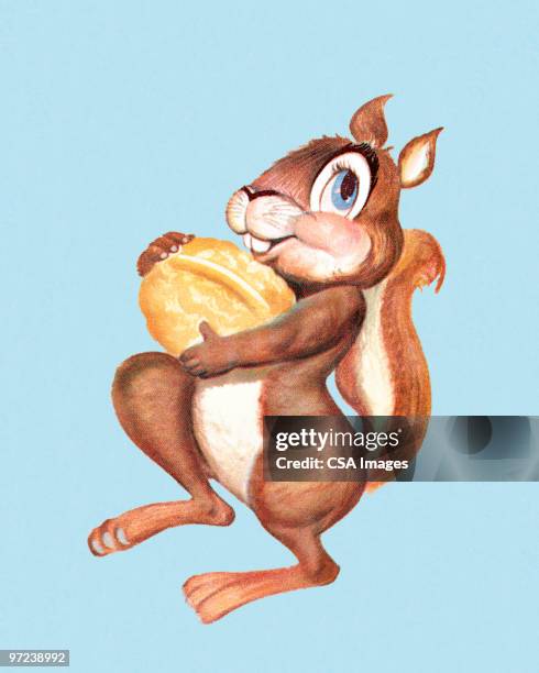 squirrel carrying big nut - walnut stock illustrations