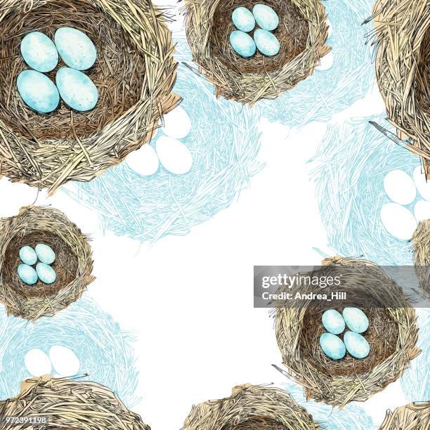 bird nest with eggs pen and ink vector seamless pattern - robin nest stock illustrations