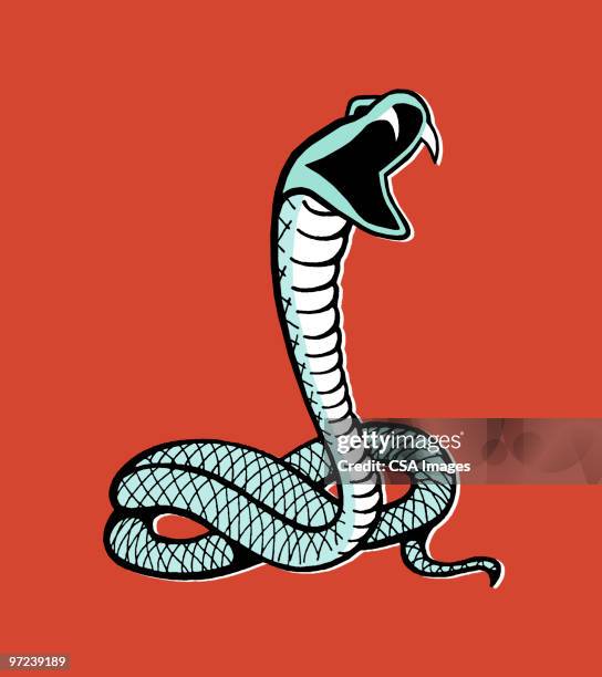 snake - snake stock illustrations