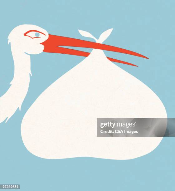 stockillustraties, clipart, cartoons en iconen met stork delivery - ooievaar