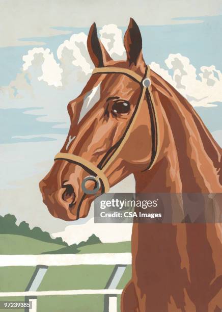 horse - horse illustration stock illustrations