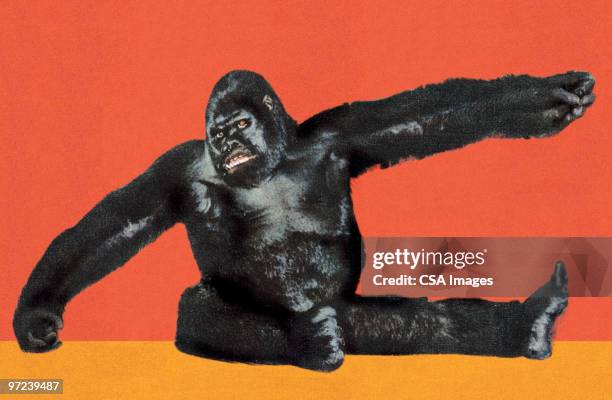stockillustraties, clipart, cartoons en iconen met gorilla - dierentuin