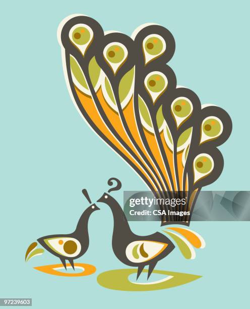 peacocks - peacock feather stock illustrations
