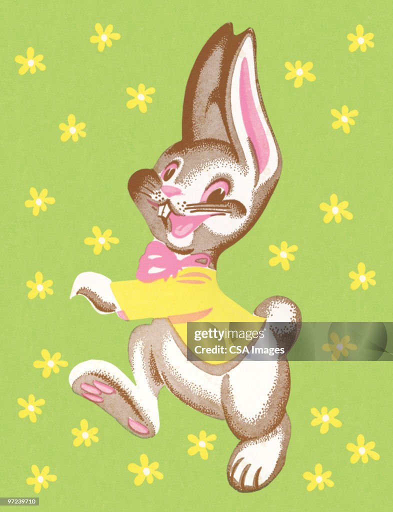 Happy Bunny Rabbit High-Res Vector Graphic - Getty Images