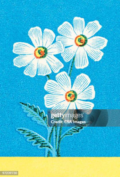 ilustrações de stock, clip art, desenhos animados e ícones de flowers - ramo-de-flores