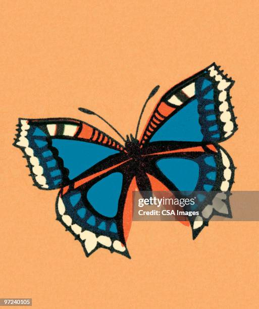 ilustraciones, imágenes clip art, dibujos animados e iconos de stock de butterfly - invertebrado