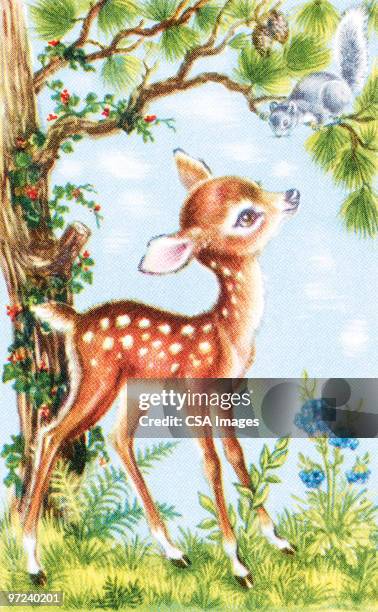 doe - fawn stock illustrations