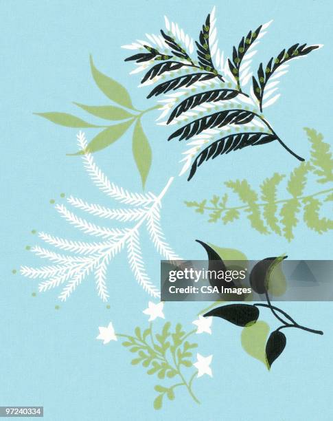 leaf pattern - twig stock illustrations