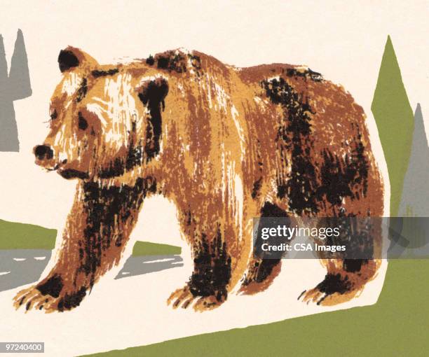 ilustraciones, imágenes clip art, dibujos animados e iconos de stock de bear - oso