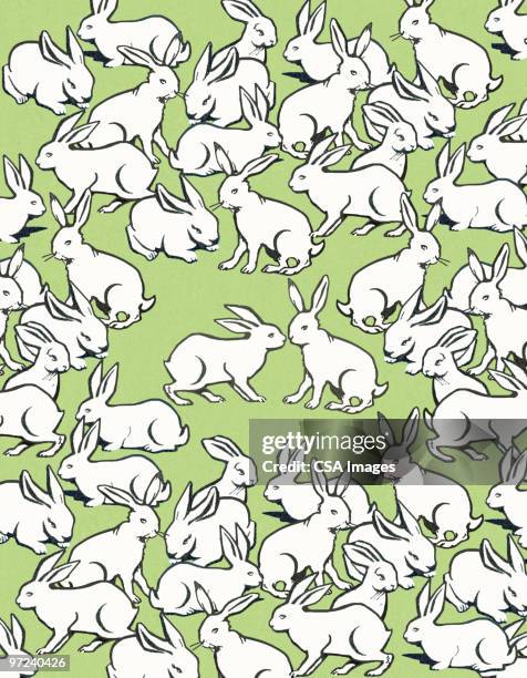 ilustraciones, imágenes clip art, dibujos animados e iconos de stock de rabbits - primavera estación